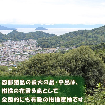 中島みかん農園 はるみ 小玉 2kg