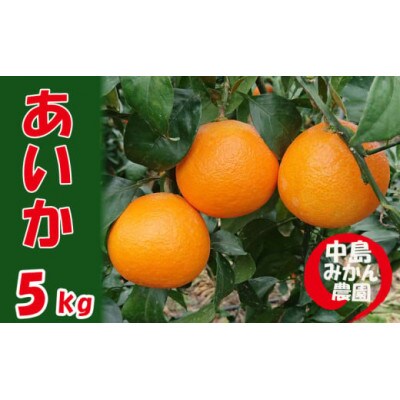 中島みかん農園 愛果28号 訳あり 5kg