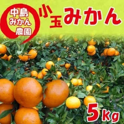 中島みかん農園　温州みかん 小玉5kg