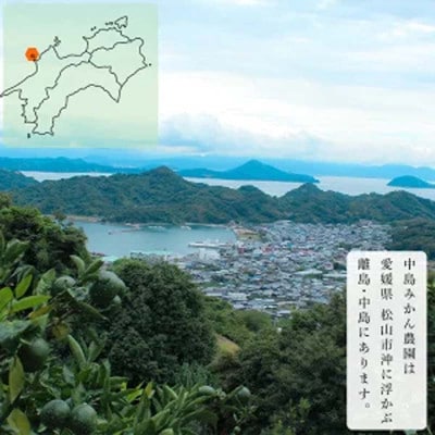 中島みかん農園 天草(あまくさ) 小玉 5kg