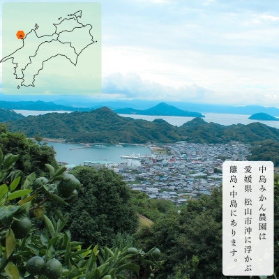 中島みかん農園 甘平 訳あり 2kg