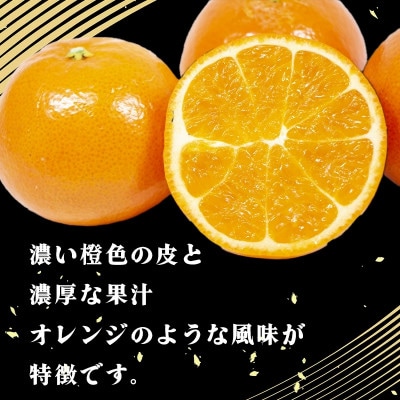 中島みかん農園 みはや 家庭用5kg