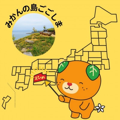 2kg+補償増量訳ありランダムサイズ 愛媛県松山市興居島 熟成蔵出し伊予柑セット