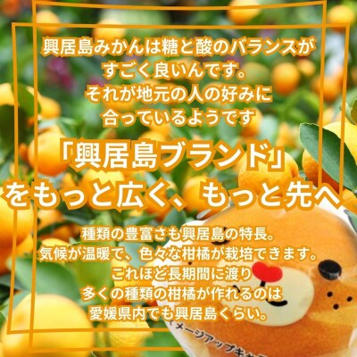 みきゃんの個包装★しまのみかん　2kg+補償増量　愛媛　松山　温州みかん　L～3Lサイズ