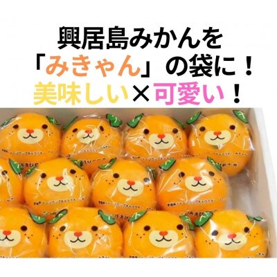 みきゃんの個包装★しまのみかん　2kg+補償増量　愛媛　松山　温州みかん　L～3Lサイズ