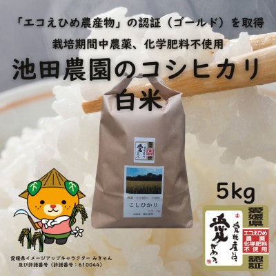 愛媛県産『エコえひめ農産物』の認証(ゴールド)を取得 池田農園の美味しいコシヒカリ白米