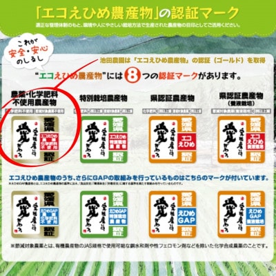 愛媛県産『エコえひめ農産物』の認証(ゴールド)を取得 池田農園の美味しいコシヒカリ白米