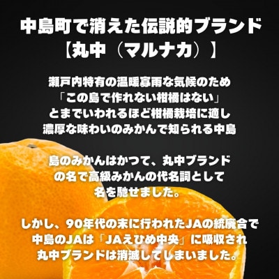 2kg+補償増量 訳ありランダムサイズ 愛媛 松山 中島(みかん)柑橘