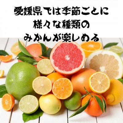 2kg+補償増量 訳ありランダムサイズ 愛媛みかん詰め合わせセット