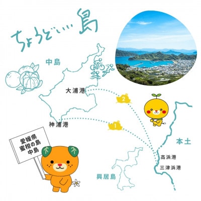 2kg+補償増量 訳ありランダムサイズ 愛媛 松山 中島(みかん)柑橘