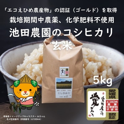 愛媛県産『エコえひめ農産物』の認証(ゴールド)を取得 池田農園の美味しいコシヒカリ 玄米