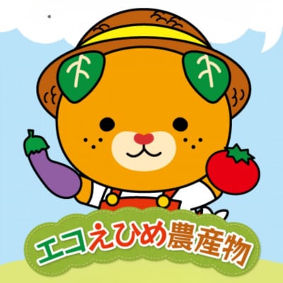 愛媛県産『エコえひめ農産物』の認証(ゴールド)を取得 池田農園の美味しいコシヒカリ 玄米