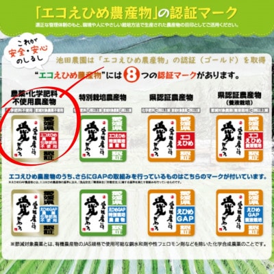 愛媛県産『エコえひめ農産物』の認証(ゴールド)を取得 池田農園の美味しいコシヒカリ 玄米