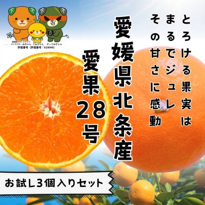 愛媛県北条産 愛果28号お試し3個入りセット