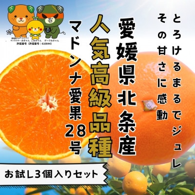 愛媛県北条産 愛果28号お試し3個入りセット