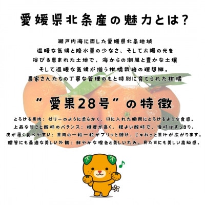 愛媛県北条産 愛果28号お試し3個入りセット