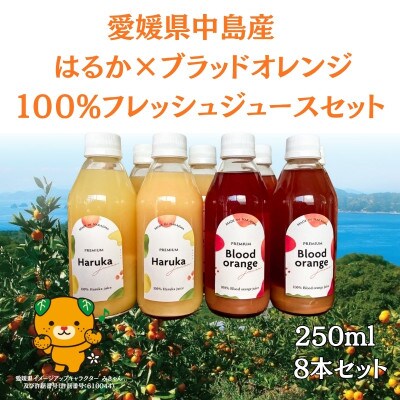 愛媛県中島産 島とみかん はるか×ブラッドオレンジ 100%フレッシュジュース 8本セット