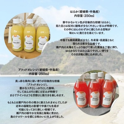 愛媛県中島産 島とみかん はるか×ブラッドオレンジ 100%フレッシュジュース 8本セット