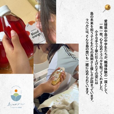 愛媛県中島産 島とみかん はるか×ブラッドオレンジ 100%フレッシュジュース 8本セット