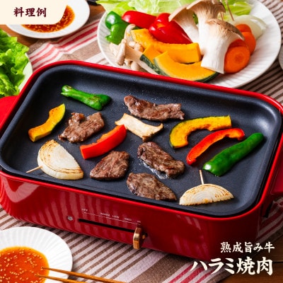 熟成旨み牛やわらかハラミカット 3kg