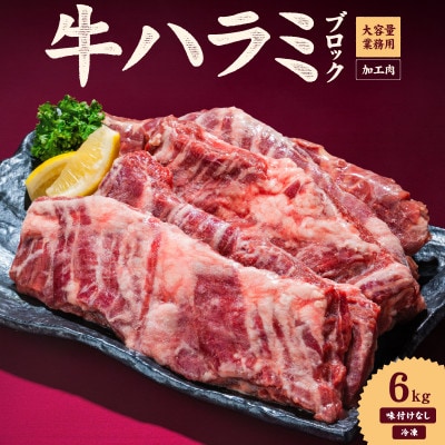 牛ハラミ ブロック 6kg