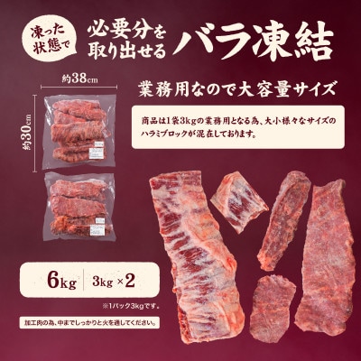 牛ハラミ ブロック 6kg