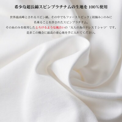 メンズ　高級綿　半袖Tシャツ　STKJ23-040　ホワイト　Lサイズ