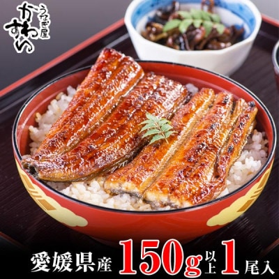 愛媛県松山産　国産うなぎ蒲焼き1本150g～169g