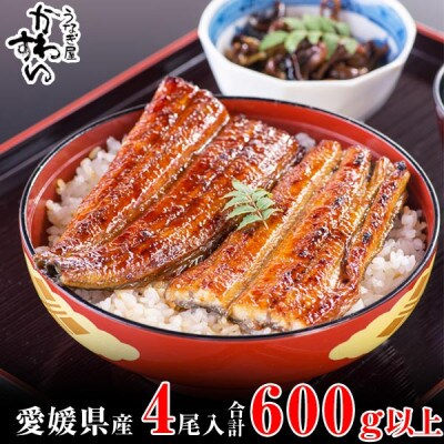 愛媛県松山産　大サイズの国産うなぎ蒲焼150g4本セット(600g~676g)