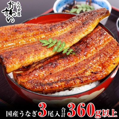 愛媛県松山産　国産うなぎ蒲焼き3本360g～447g