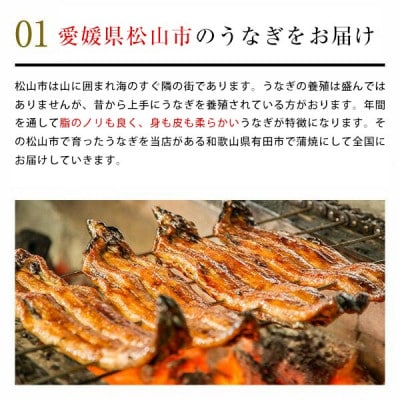 愛媛県松山産　国産うなぎ蒲焼き5本600g～745g
