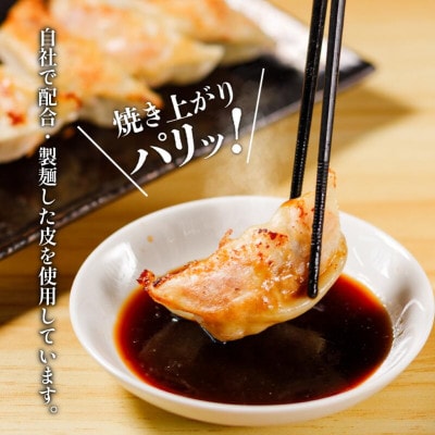 あさの生餃子 【25個入×5パック 計125個】