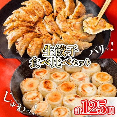 あさの生餃子 もち〇生餃子 セット【5パック 計125個】