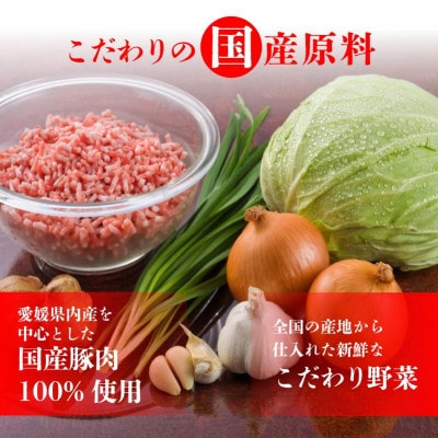 あさの生餃子 もち〇生餃子 セット【5パック 計125個】