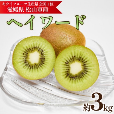 キウイフルーツ ヘイワード 約3kg 産地直送