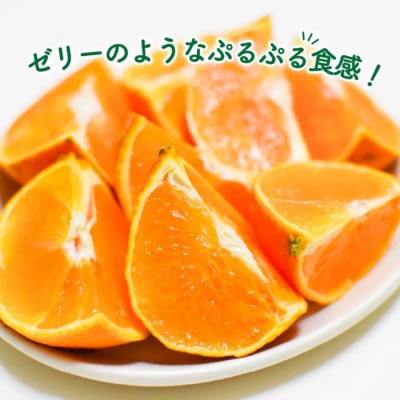 【秀品】愛果28号 (紅まどんな と同品種) 約2.5kg