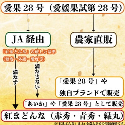 【秀品】愛果28号 (紅まどんな と同品種) 約2.5kg