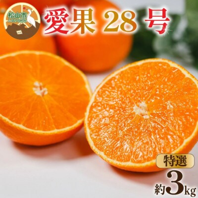 【特選】愛果28号 (紅まどんな と同品種) 約3kg