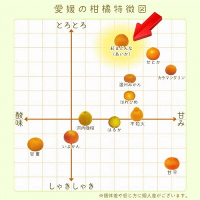 【特選】愛果28号 (紅まどんな と同品種) 約3kg