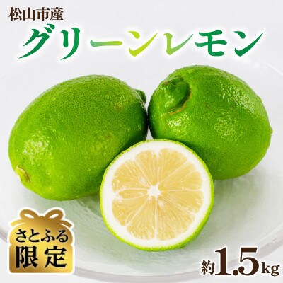 【さとふる限定】【数量限定】グリーンレモン 約1.5kg 産地直送
