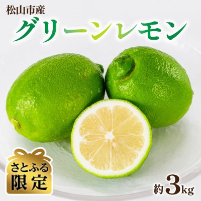 【さとふる限定】【数量限定】グリーンレモン 約3kg  産地直送