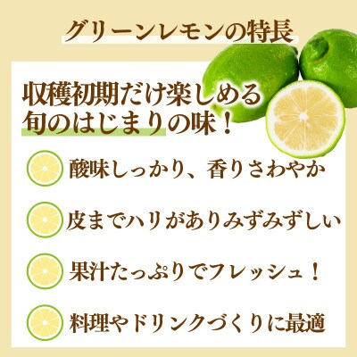【さとふる限定】【数量限定】グリーンレモン 約3kg  産地直送