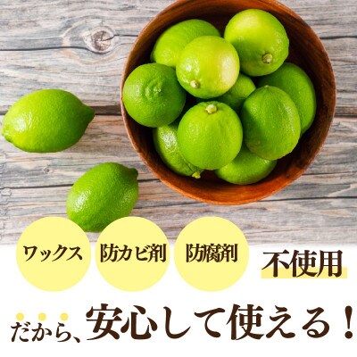 【さとふる限定】【数量限定】グリーンレモン 約3kg  産地直送