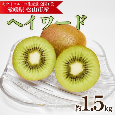 キウイフルーツ ヘイワード 約1.5kg 産地直送