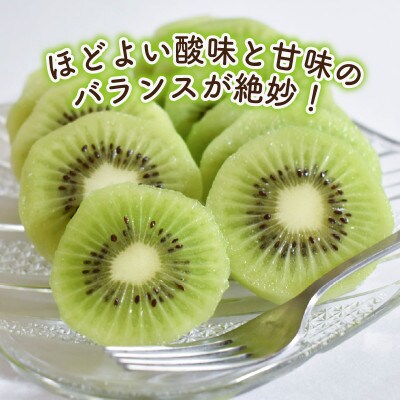 キウイフルーツ ヘイワード 約1.5kg 産地直送