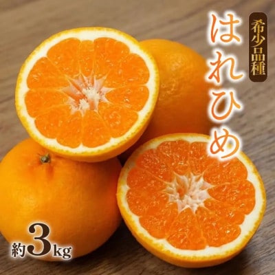 はれひめ 約3kg【2026年12月下旬頃から順次発送】産地直送 みかん