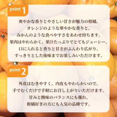 はれひめ 約3kg【2026年12月下旬頃から順次発送】産地直送 みかん