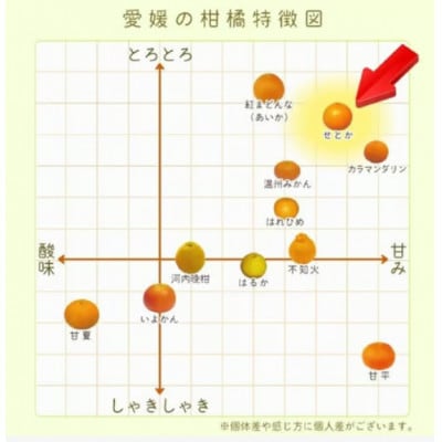【2027年2月下旬順次発送予定】愛媛県中島産 せとか 約2.5kg 中島みかんのまこ農園