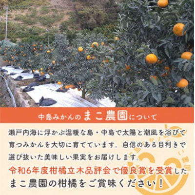 【2027年2月中旬順次発送予定】愛媛県中島産 あいか48号 2.5kg 中島みかんのまこ農園
