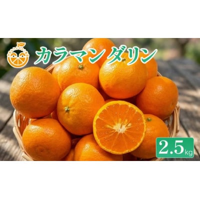 【2027年3月下旬から順次発送予定】中島産 カラマンダリン 約2.5kg 中島みかんのまこ農園
